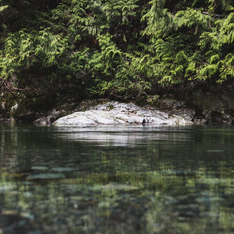 Visual metaphor for Neoteric fragrance – clean, aquatic, and invigorating