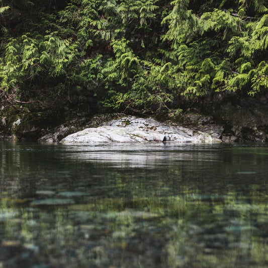 Visual metaphor for Neoteric fragrance – clean, aquatic, and invigorating
